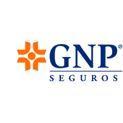 Seguros-gastos-medicos-Seguros-Seguros-GNP.png